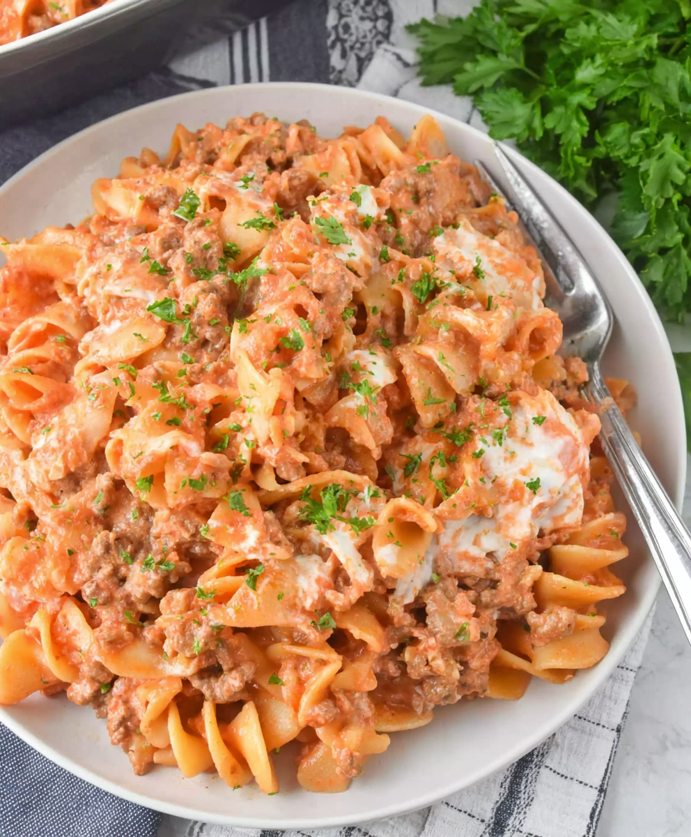 Cheesy Sour Cream Beef Noodles